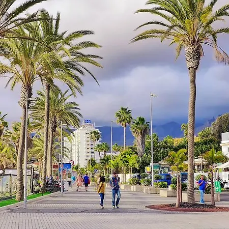 Las Americas 13eld04 Apartman